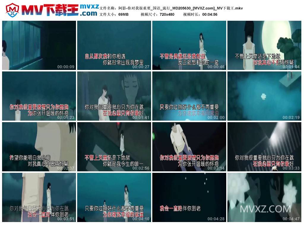 阿影-你对我很重要_国语_流行_MD205630